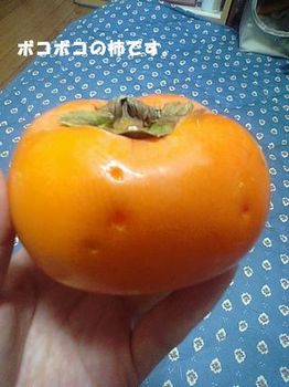 ぼこぼこの柿.jpg